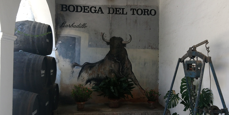 En Barbadillo está la Bodega Del Toro