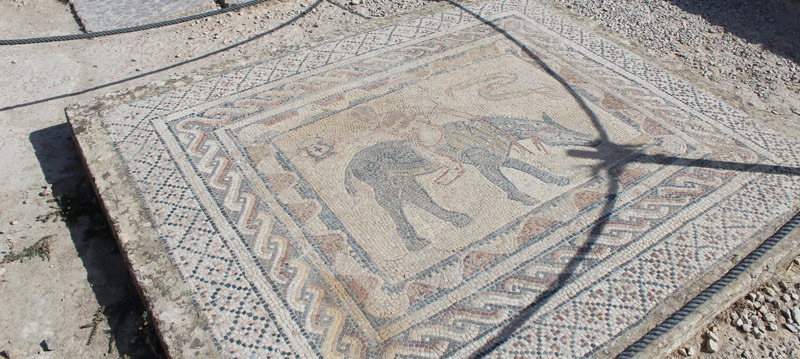 Mosaicos ciudad romana Oualili