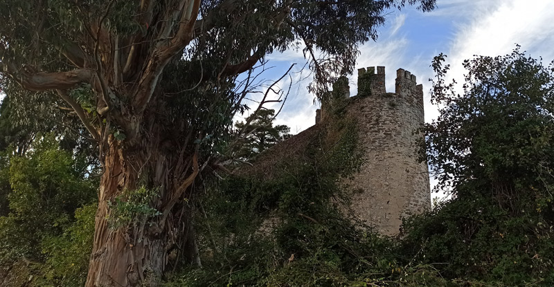 Torre del Castillo de Sarria